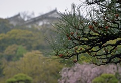 雨に