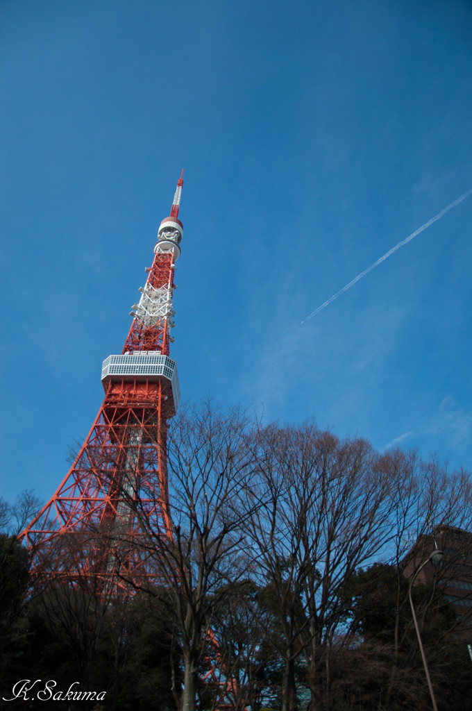 寒空にそびえる