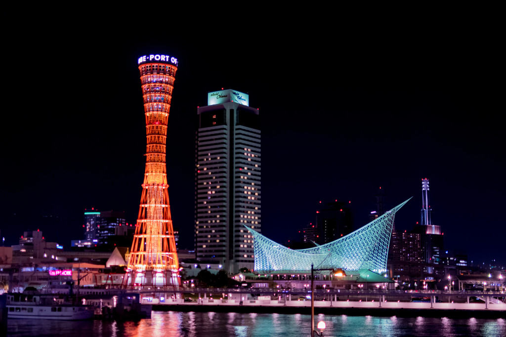 夜の散策