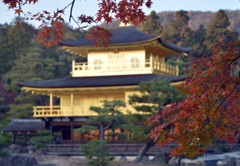 金閣寺