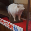 大正村_4