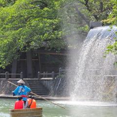 IMG_4354_i