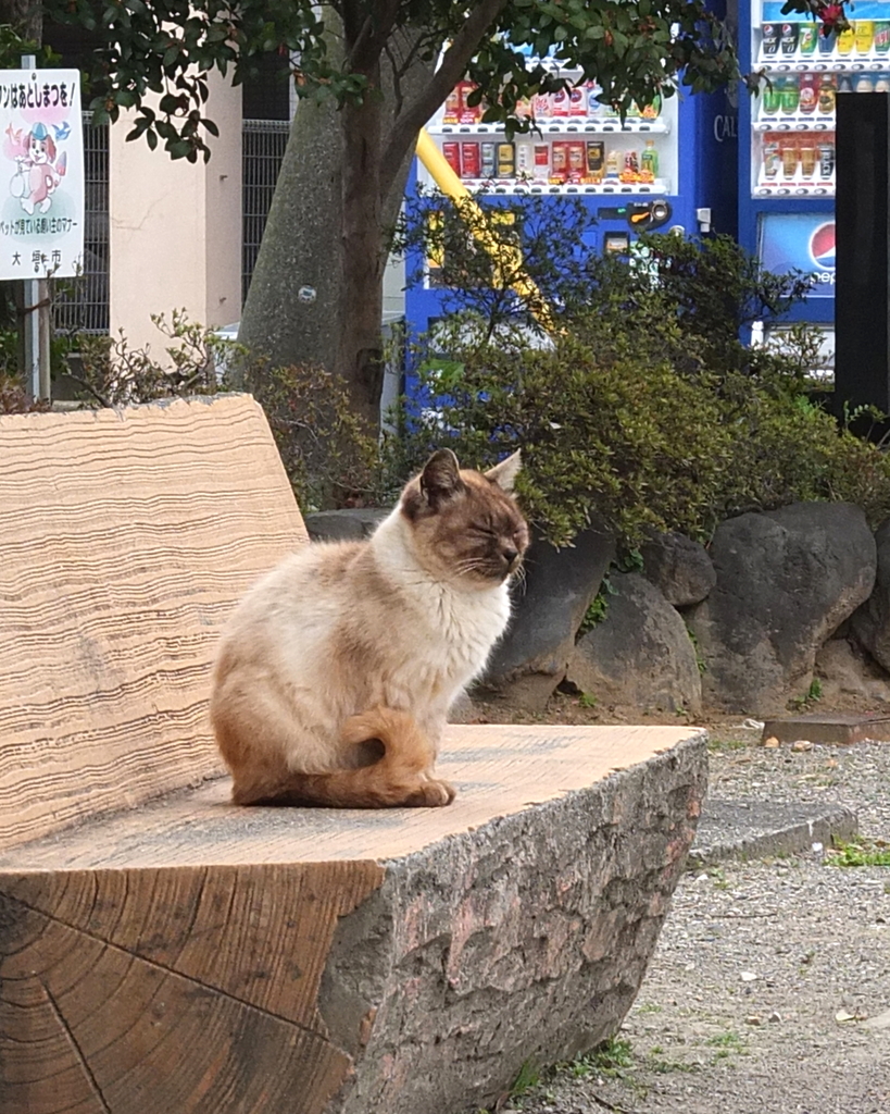 DSCF8950_i