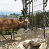 飯田市立動物園　5