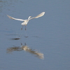 IMG_7152_i-2