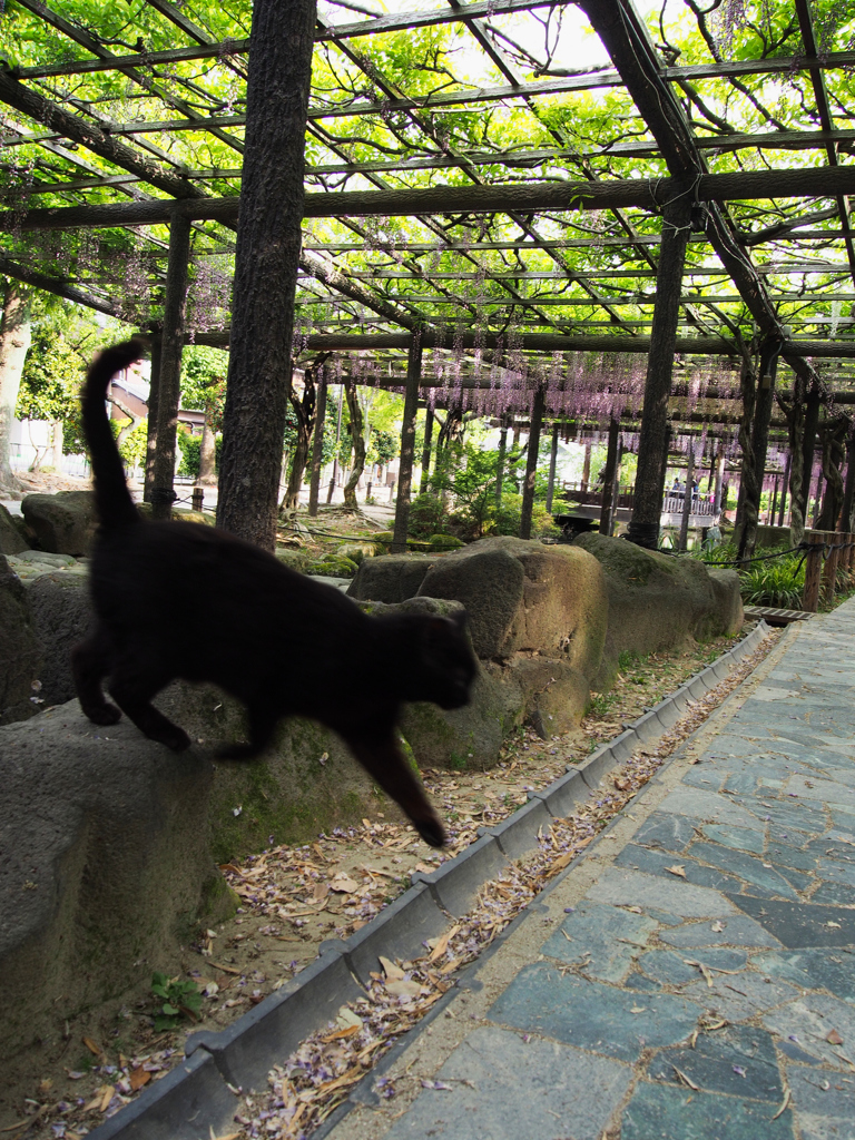 天王川公園_3