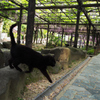 天王川公園_3