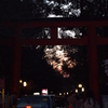 八坂神社・円山公園　3