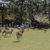 PXL_20220408_030553870_