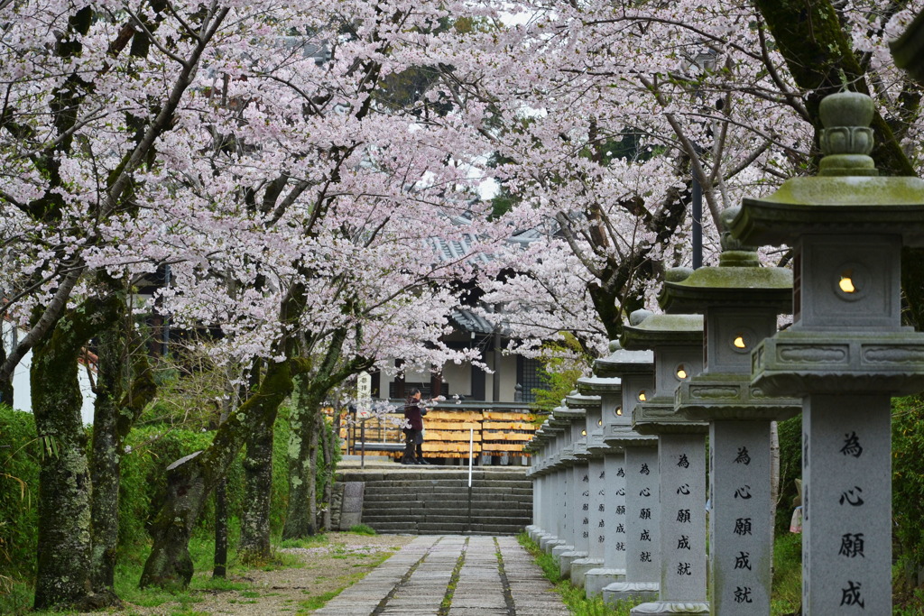 安倍文殊院 1