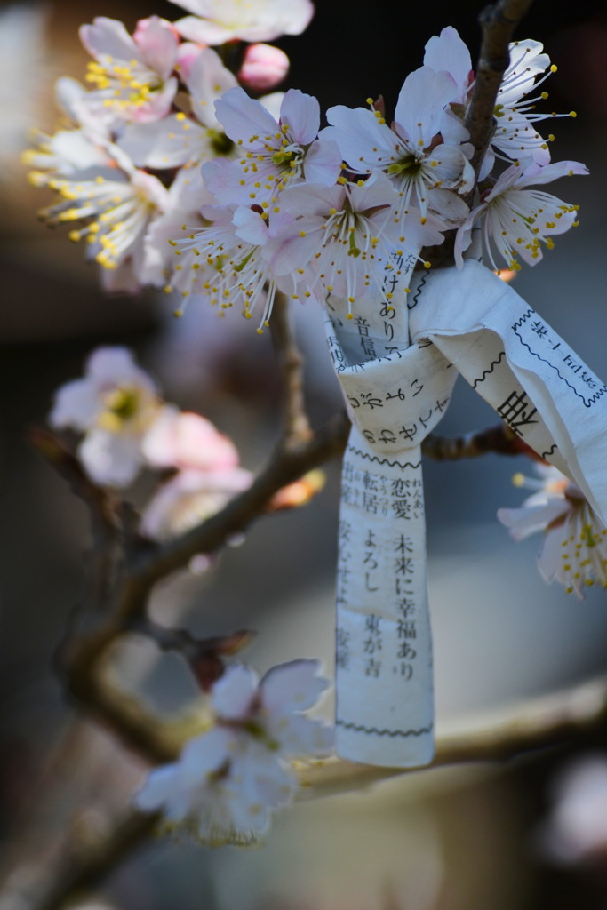 未来に幸福あり