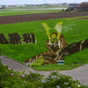 田んぼアート