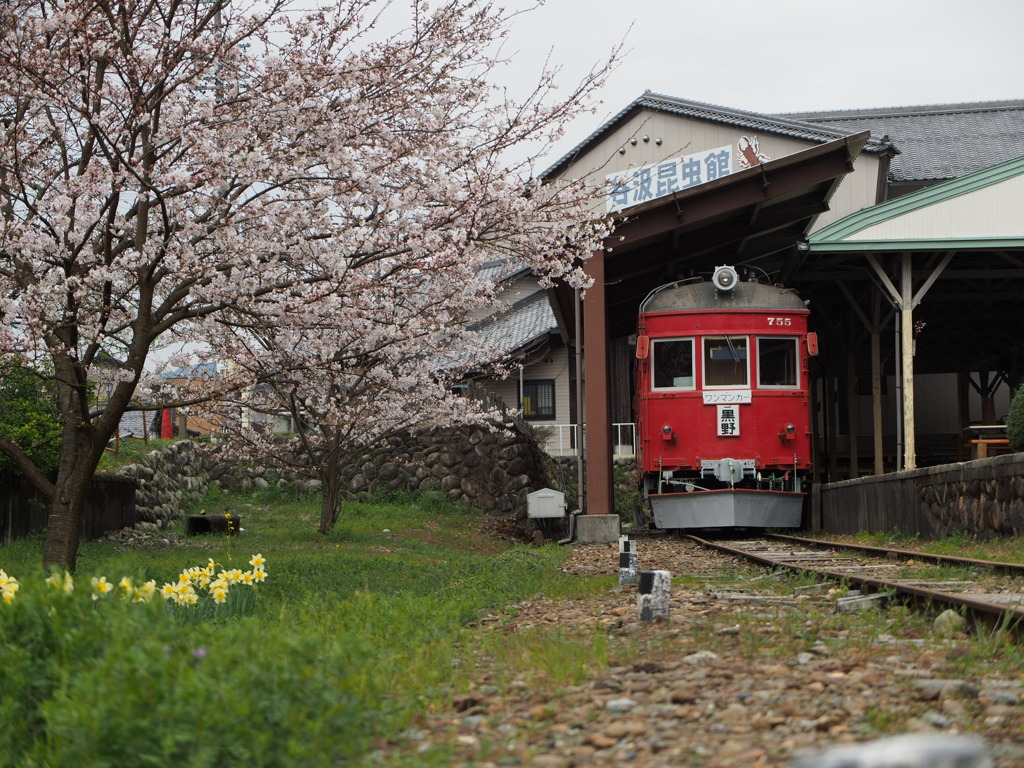 旧名鉄谷汲駅