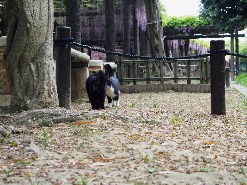 天王川公園_2