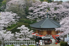 安倍文殊院 3