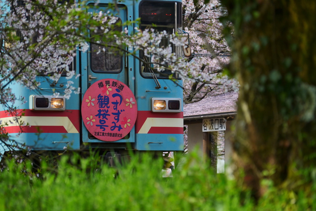 谷汲口駅 1