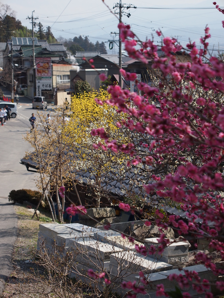 赤　白　黄色　♪