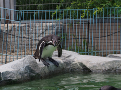 飯田市立動物園　6