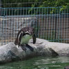 飯田市立動物園　6