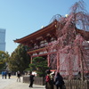 四天王寺　2
