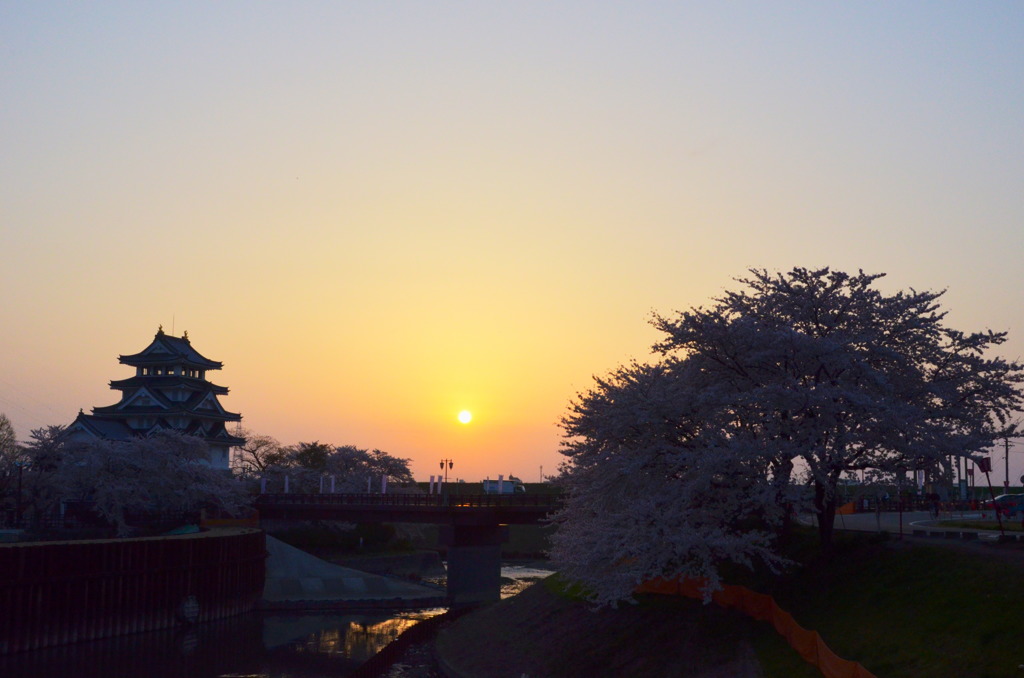 早朝の桜 2