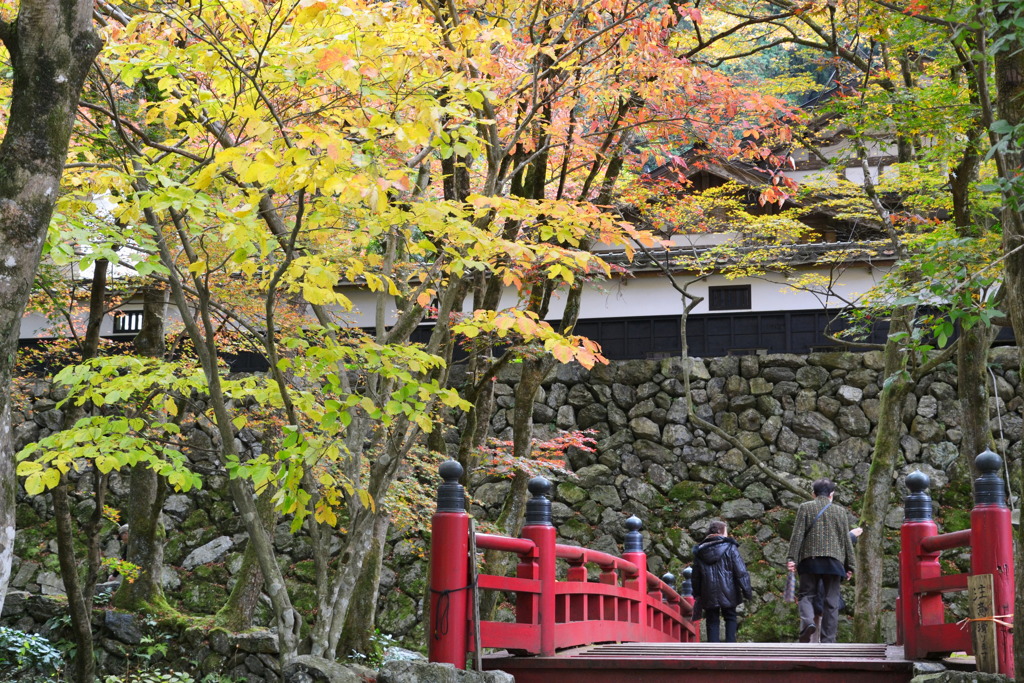 横蔵寺の紅葉 1