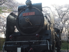 D51 209