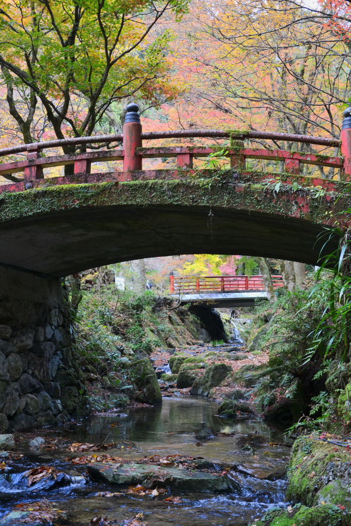 横蔵寺の紅葉 6