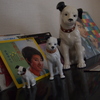 大正村_9