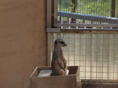 飯田市立動物園　3