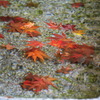 横蔵寺の紅葉 2