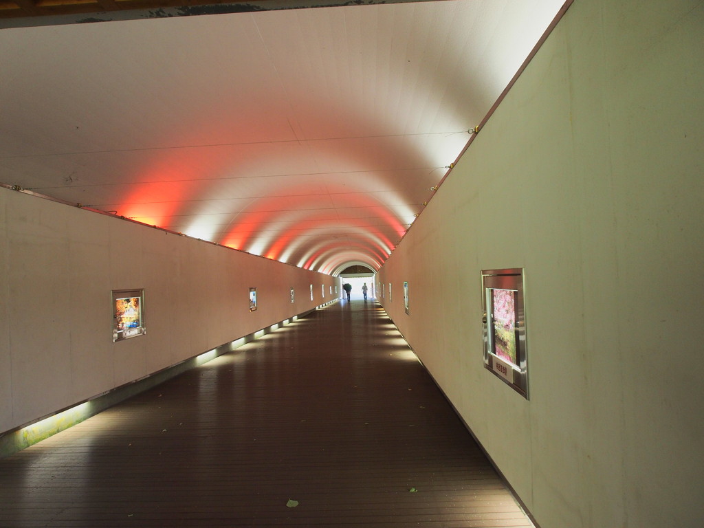 通路