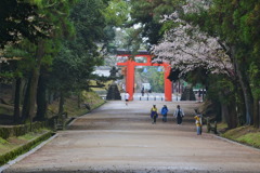 奈良公園 6