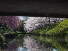 橋の下から