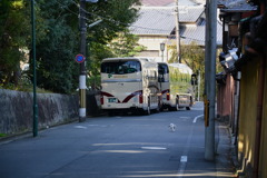 京都にて 1