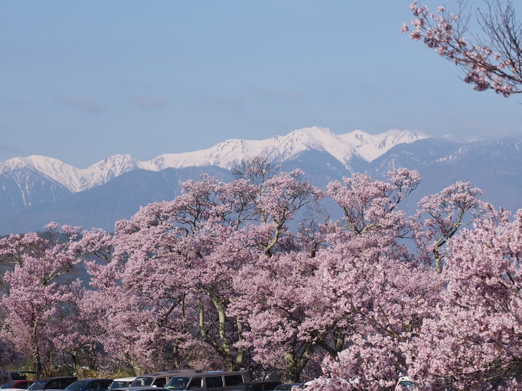 高遠