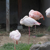 飯田市立動物園　1