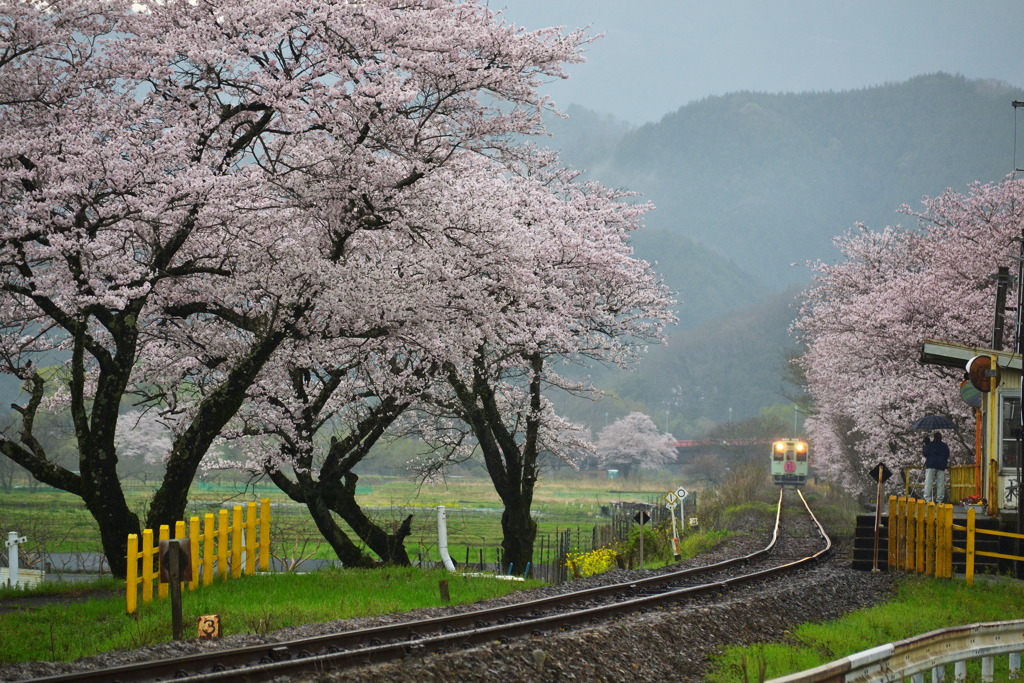 木知原駅 2 By Nyan5 Id 写真共有サイト Photohito