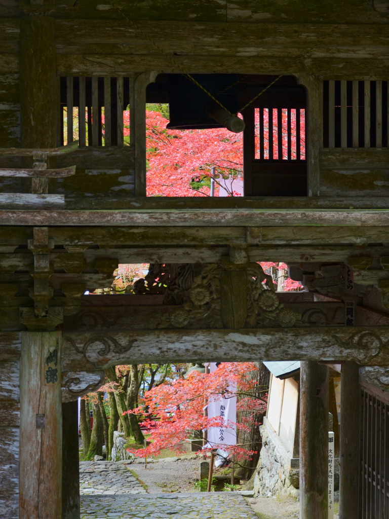 横蔵寺の紅葉 3