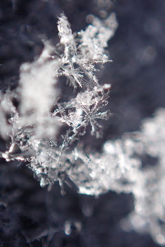 結晶・・・②