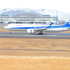 ANA・・・