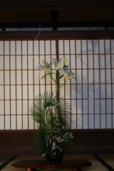 お散歩写真・・・③