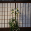 お散歩写真・・・③
