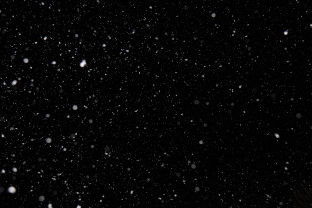 真夜中に降りだした雪