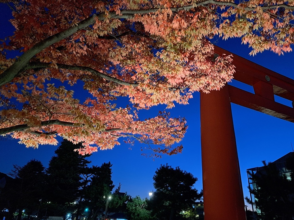 紅葉と赤鳥居