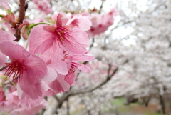 気分も上がるね・・・