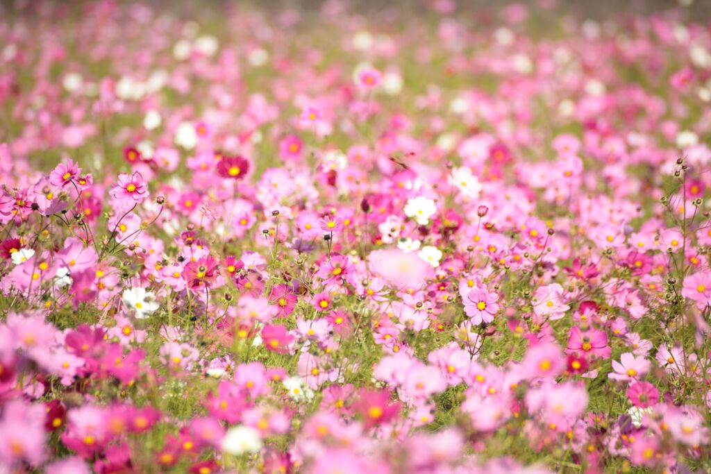 今日は風が強い・・・