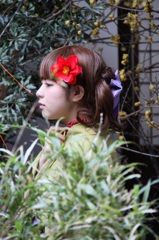 美