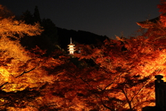 ライトアップ・・・②