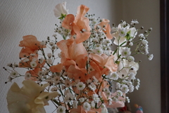 3月6日・・・